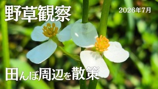 Youtube用動画の構成・制作担当