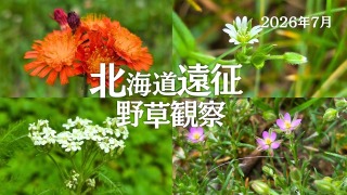 Youtube用動画の構成・制作担当
