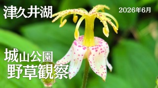 Youtube用動画の構成・制作担当