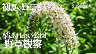 Youtube用動画の構成・制作担当