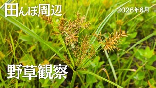 Youtube用動画の構成・制作担当