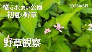 Youtube用動画の構成・制作担当