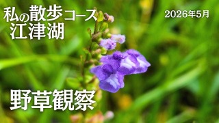 Youtube用動画の構成・制作担当