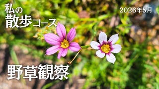 Youtube用動画の構成・制作担当