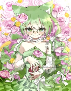 1枚絵